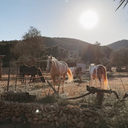 Activiteiten op Ibiza - mijn favoriete tips met en zonder kinderen